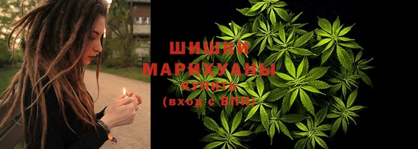 индика Володарск